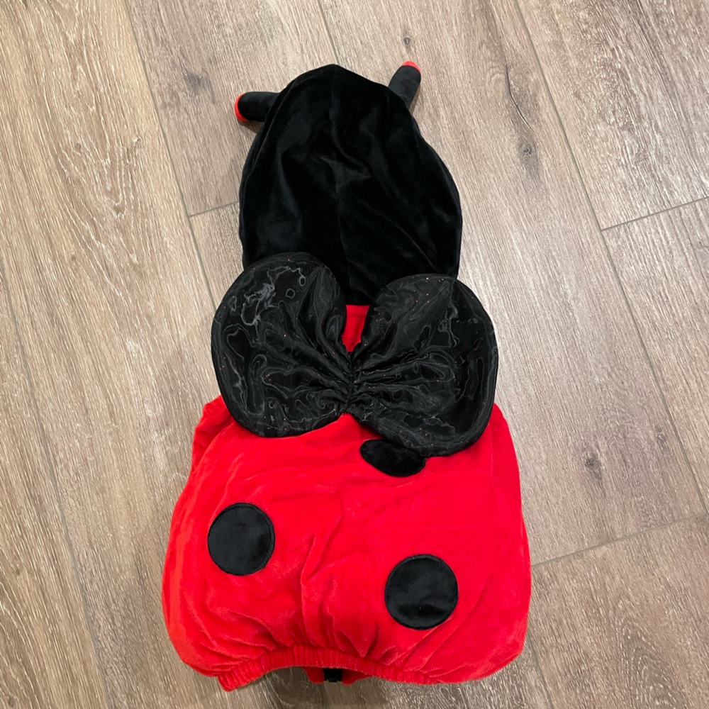 6-9 month ladybug costume